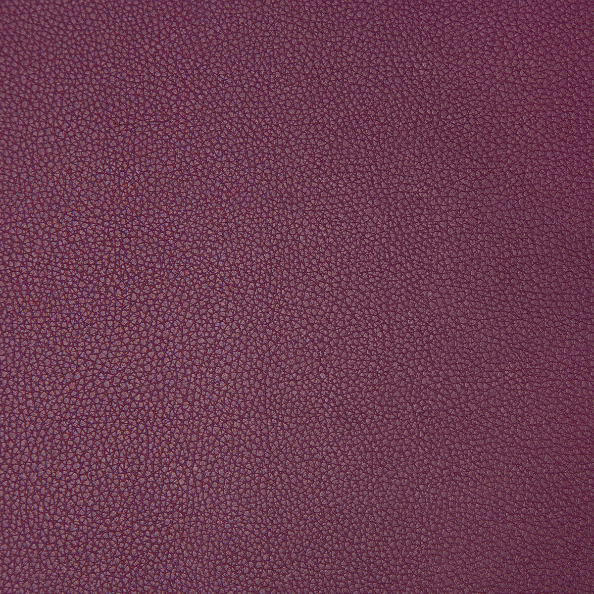 Syrus-Mulberry