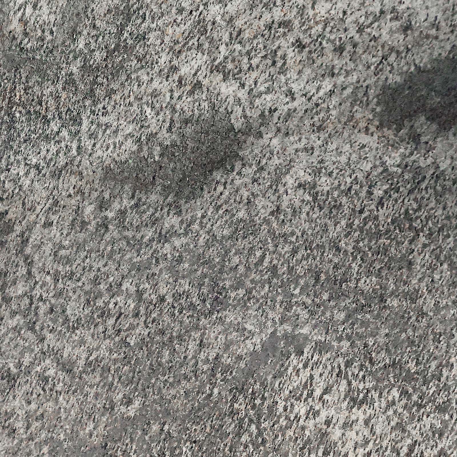 Silver Spark Quartzite Veneer