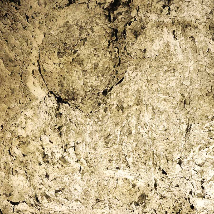 Silver Spark Quartzite Veneer