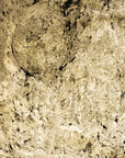 Silver Spark Quartzite Veneer
