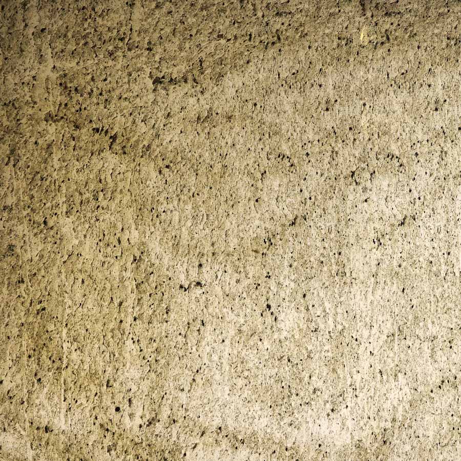 Marine Green Quartzite Veneer
