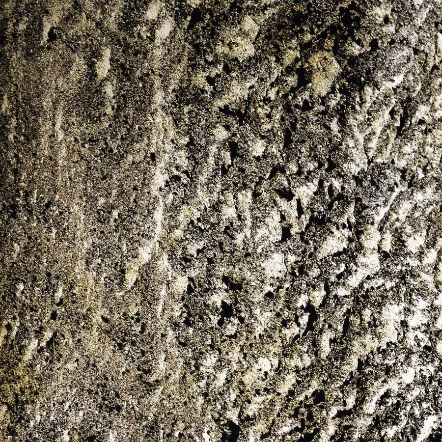 Gold Leaf Quartzite Veneer