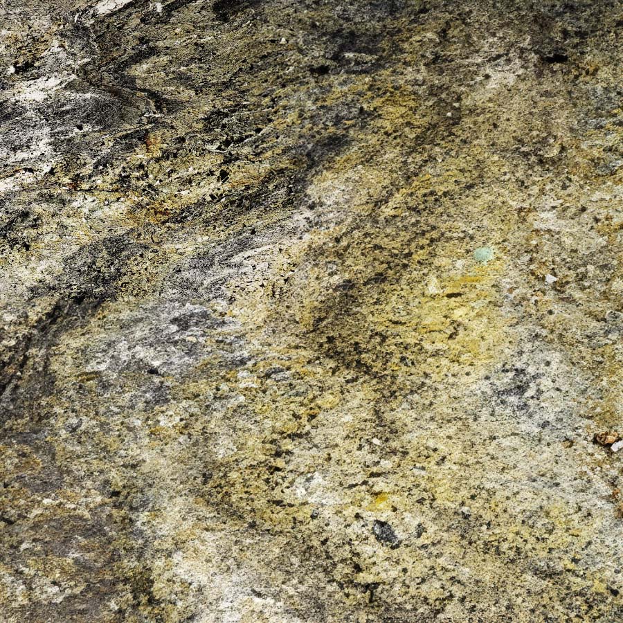 Burning Forest Quartzite Veneer
