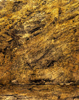 Burning Forest Quartzite Veneer