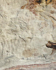 Wavy White Quartzite Veneer