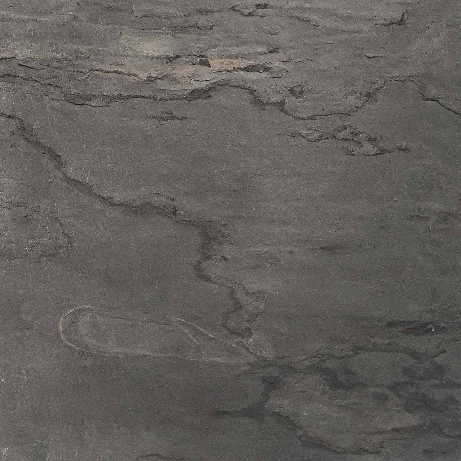 Native Gold Slate Veneer
