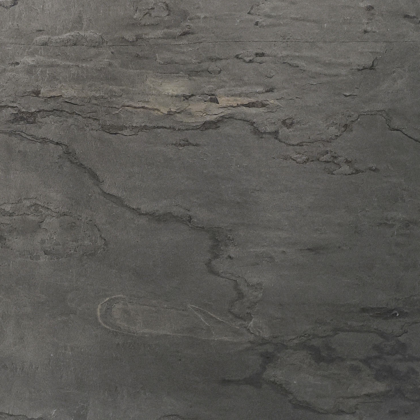 Steel Gray Slate Veneer