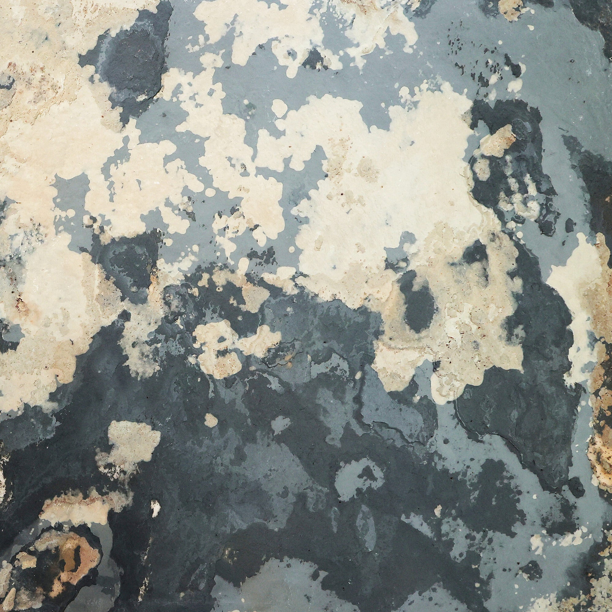 Rustic Autumn Slate Veneer