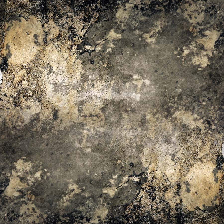 Rustic Autumn Slate Veneer