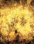 Rustic Autumn Slate Veneer