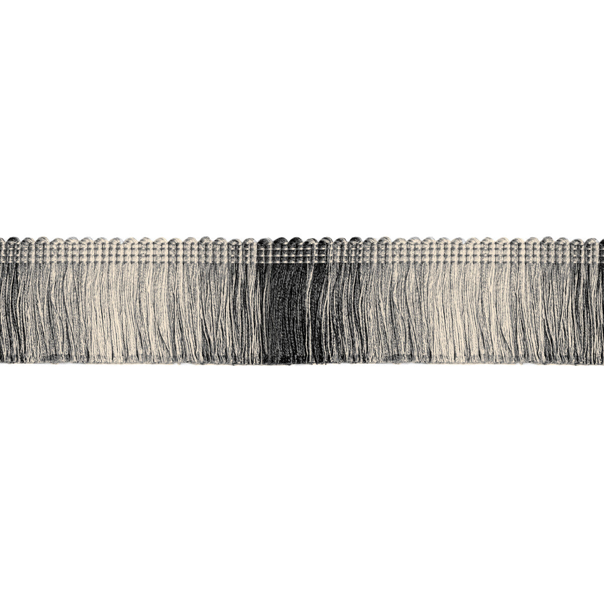 Daintree Fringe-Noir
