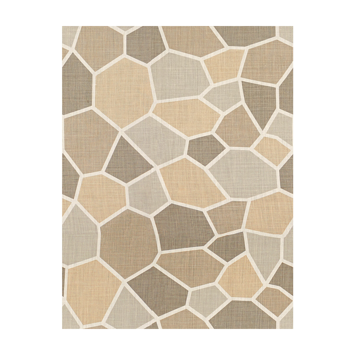 Tangram-Oyster