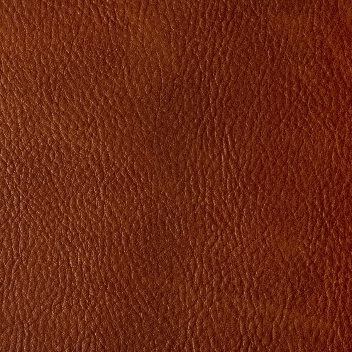 Toni-Mesa