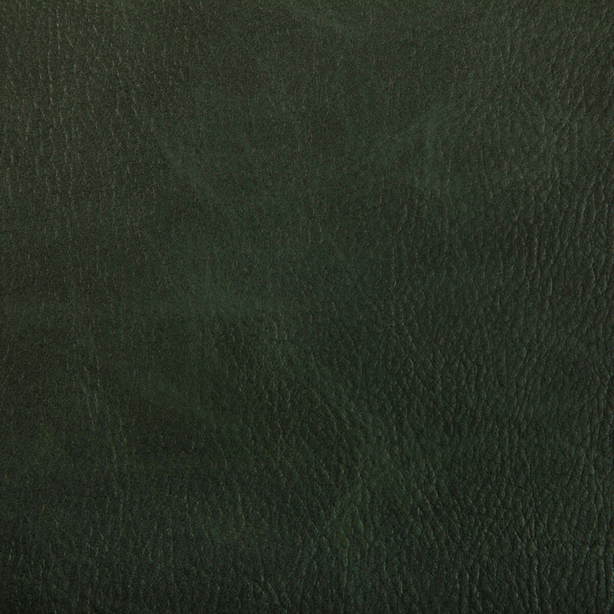 Toni-Woodland