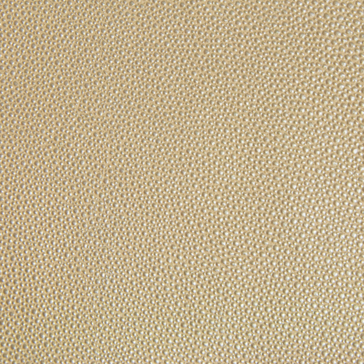 Kravet Design-Trezzo-16