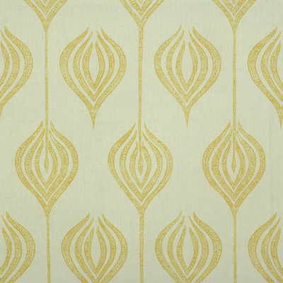 Tulip-White/Yellow