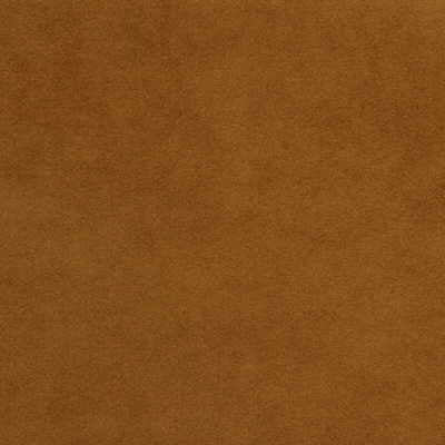 Ultrasuede-Bridle