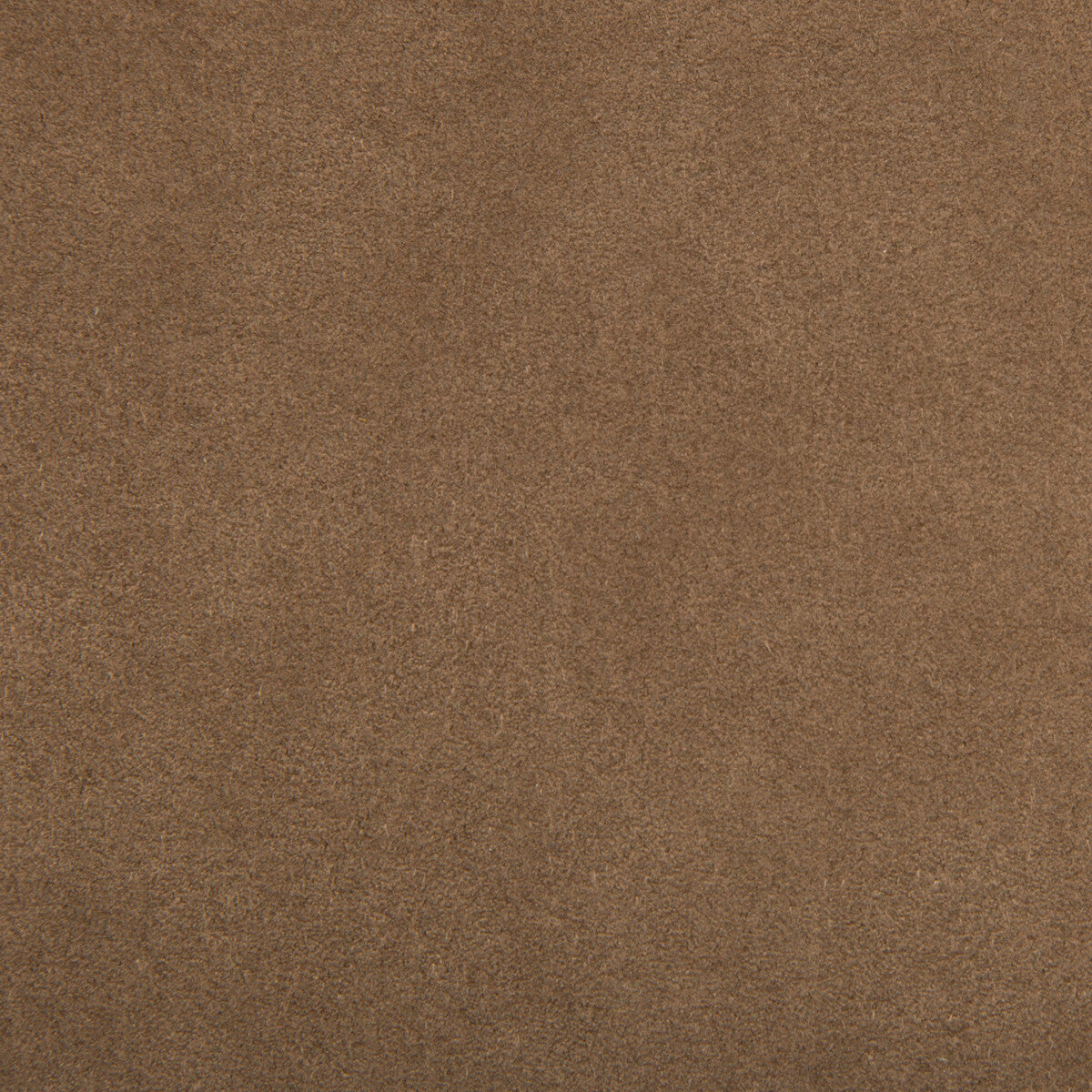 Ultrasuede-Mole Skin