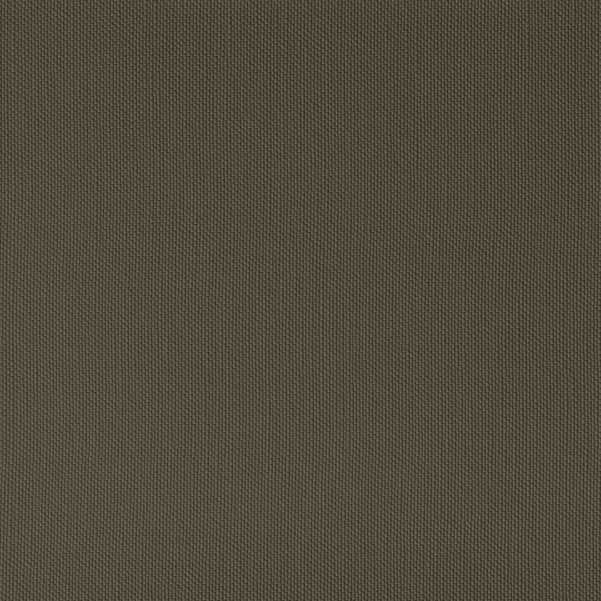 Ventura-Bronze