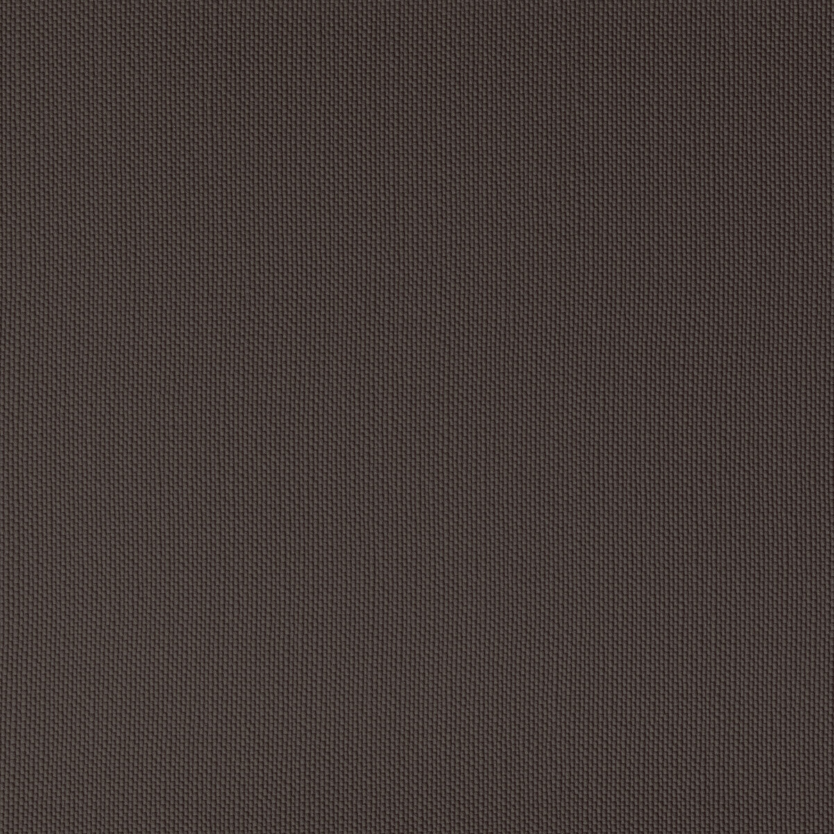 Ventura-Cocoa
