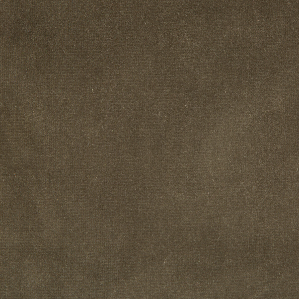 Versailles-E20504