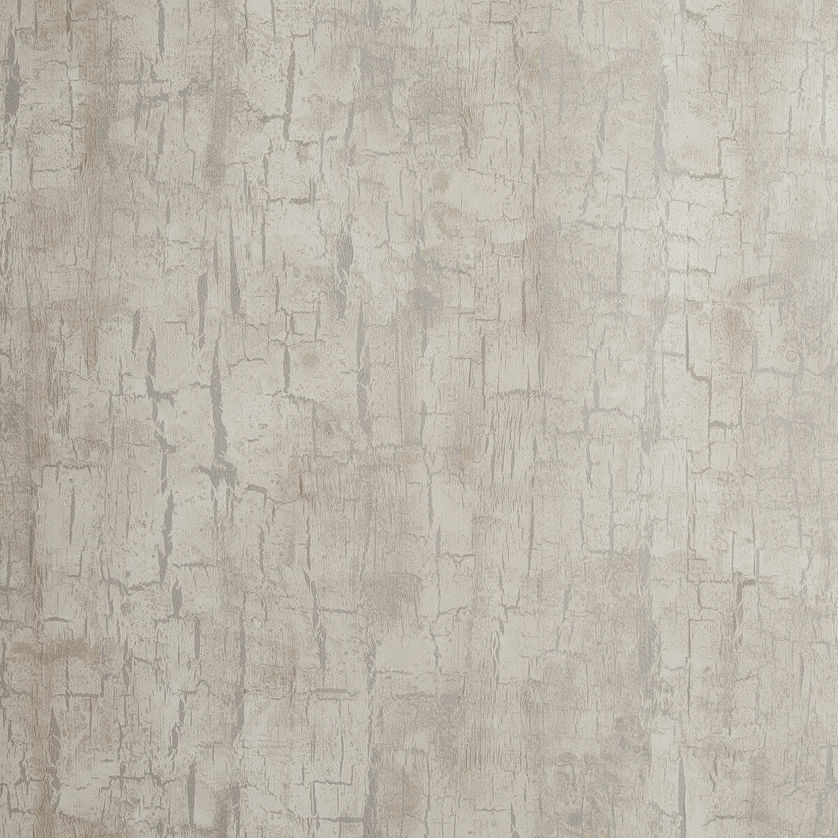Tree Bark-Parchment