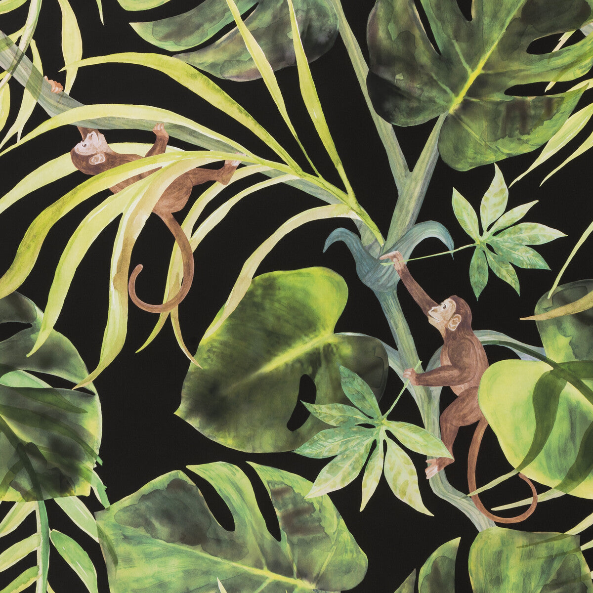 Monkey Business-Ebony