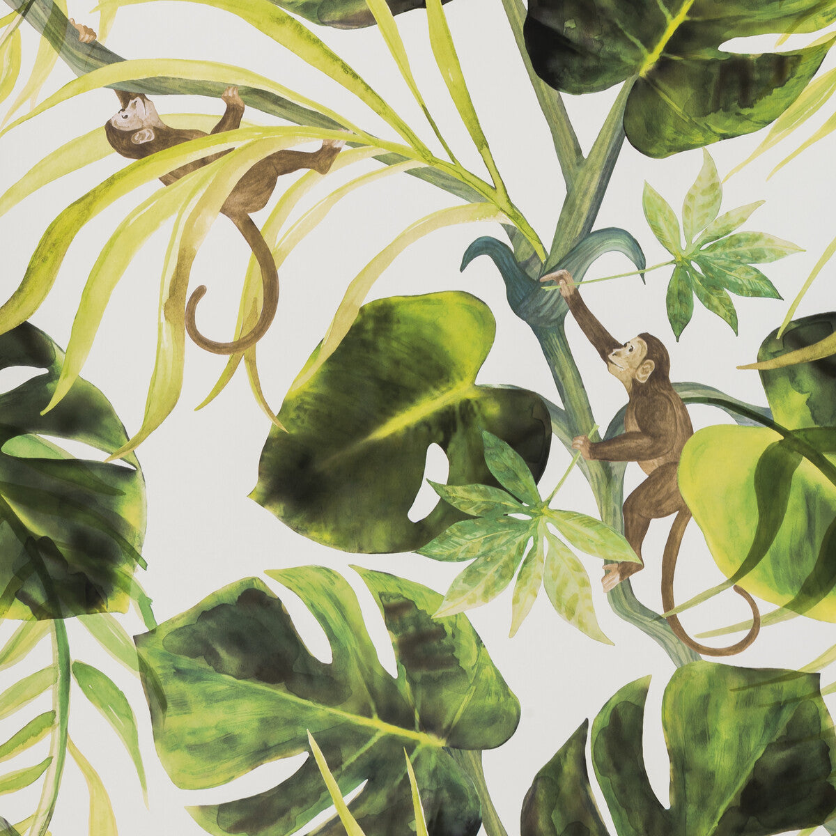 Monkey Business-Natural