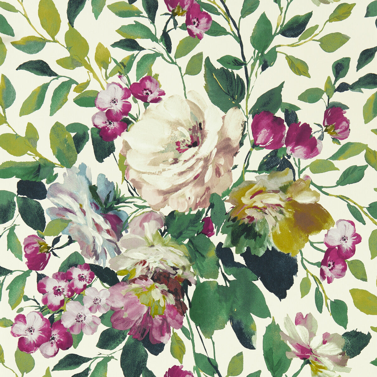 Bloom-Fuchsia Wp