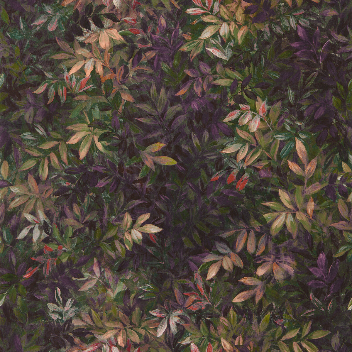 Congo-Amethyst/Emerald Wp