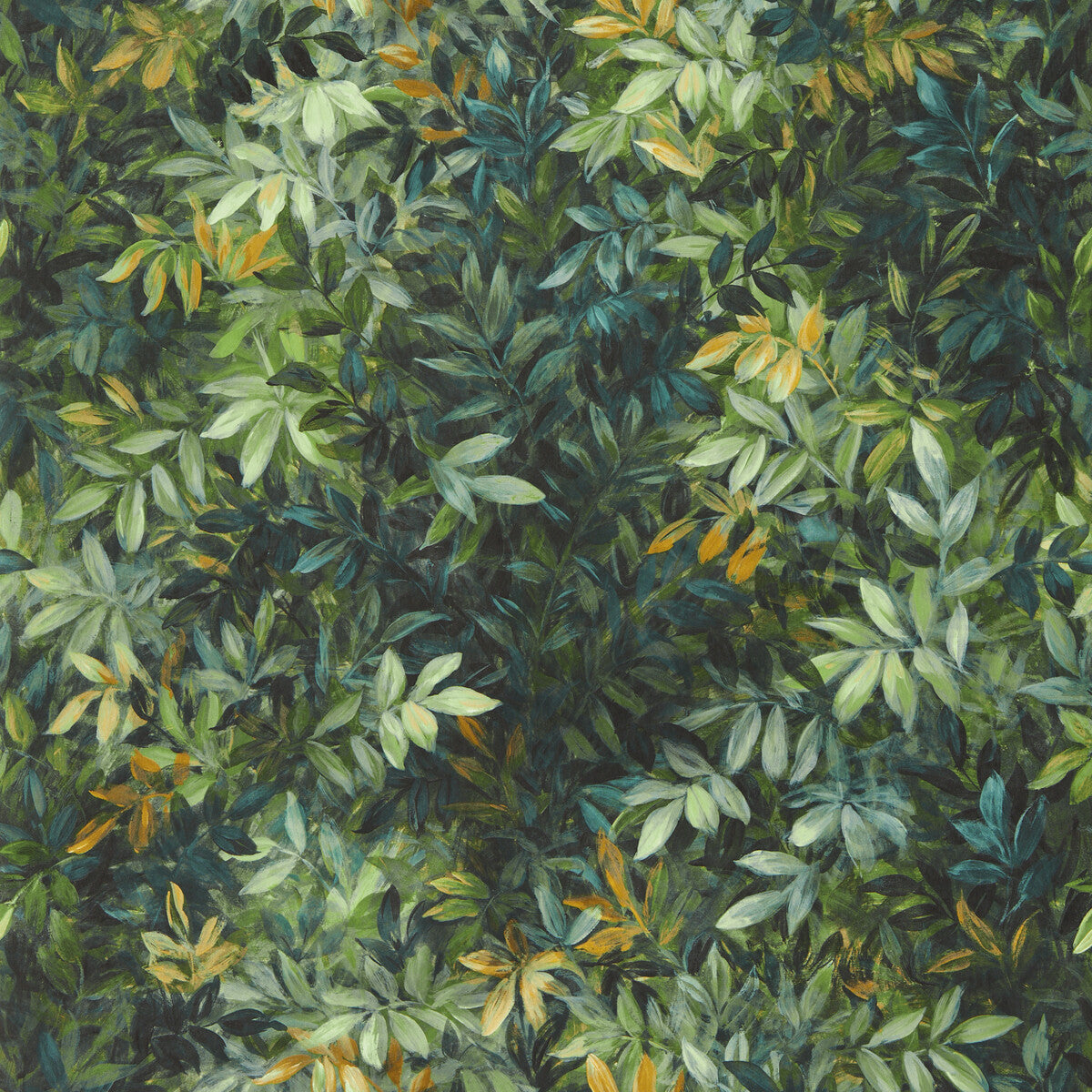 Congo-Forest Wp