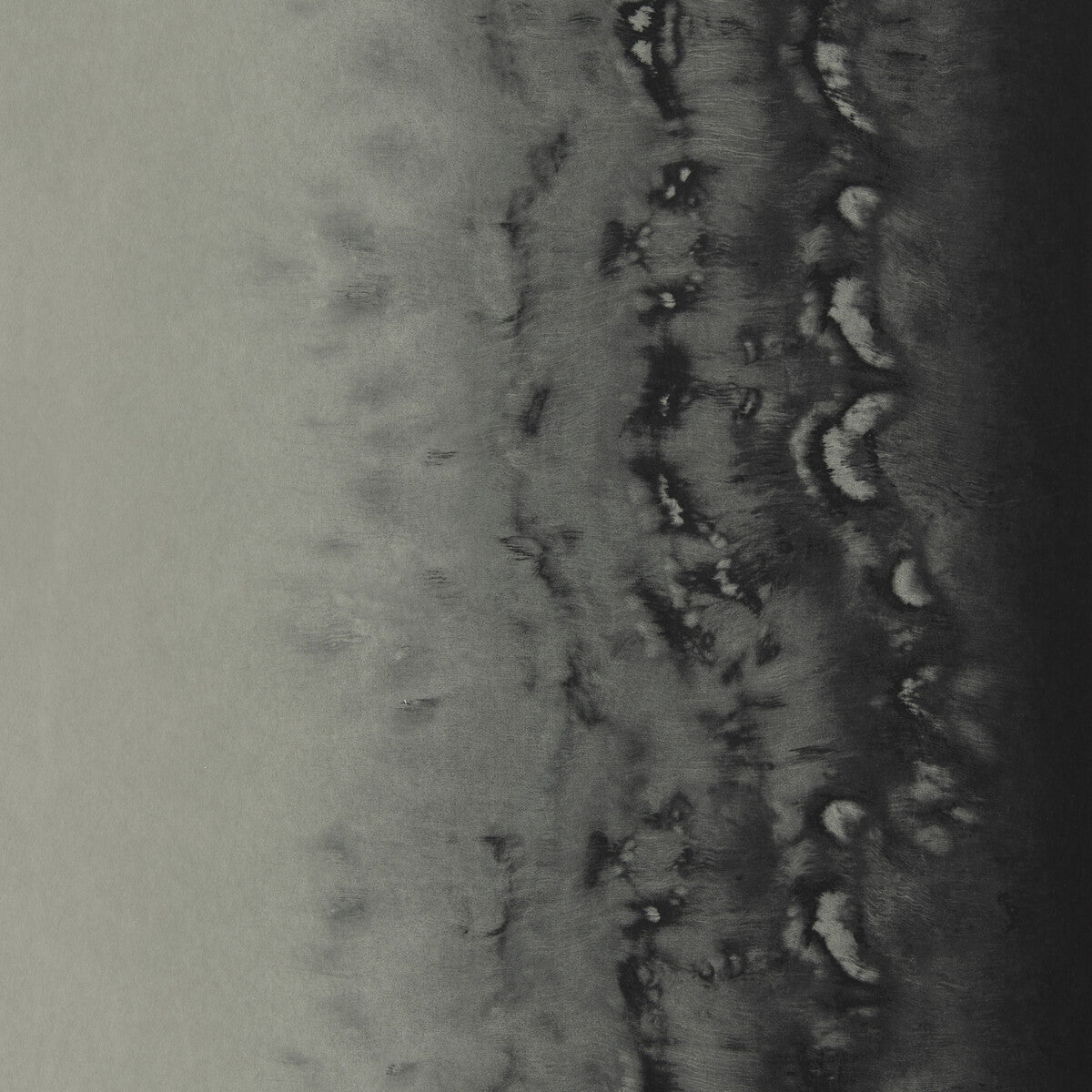 Disperse-Silver Wp