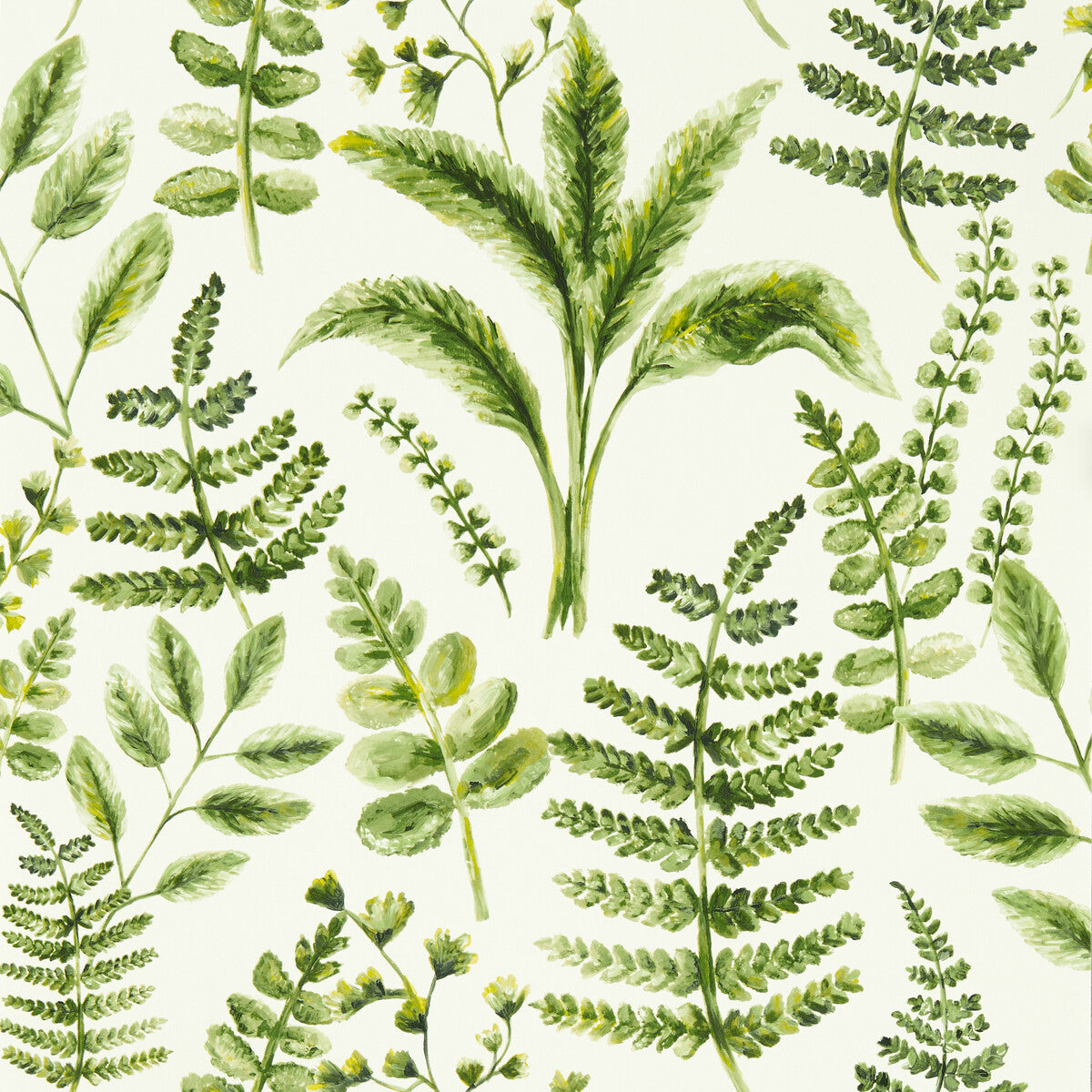 Bracken-Forest Wp