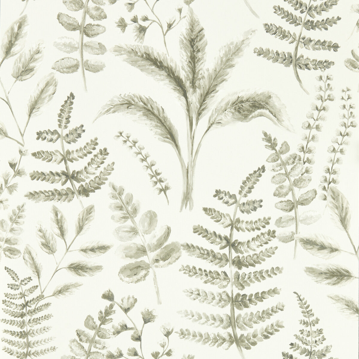 Bracken-Natural Wp