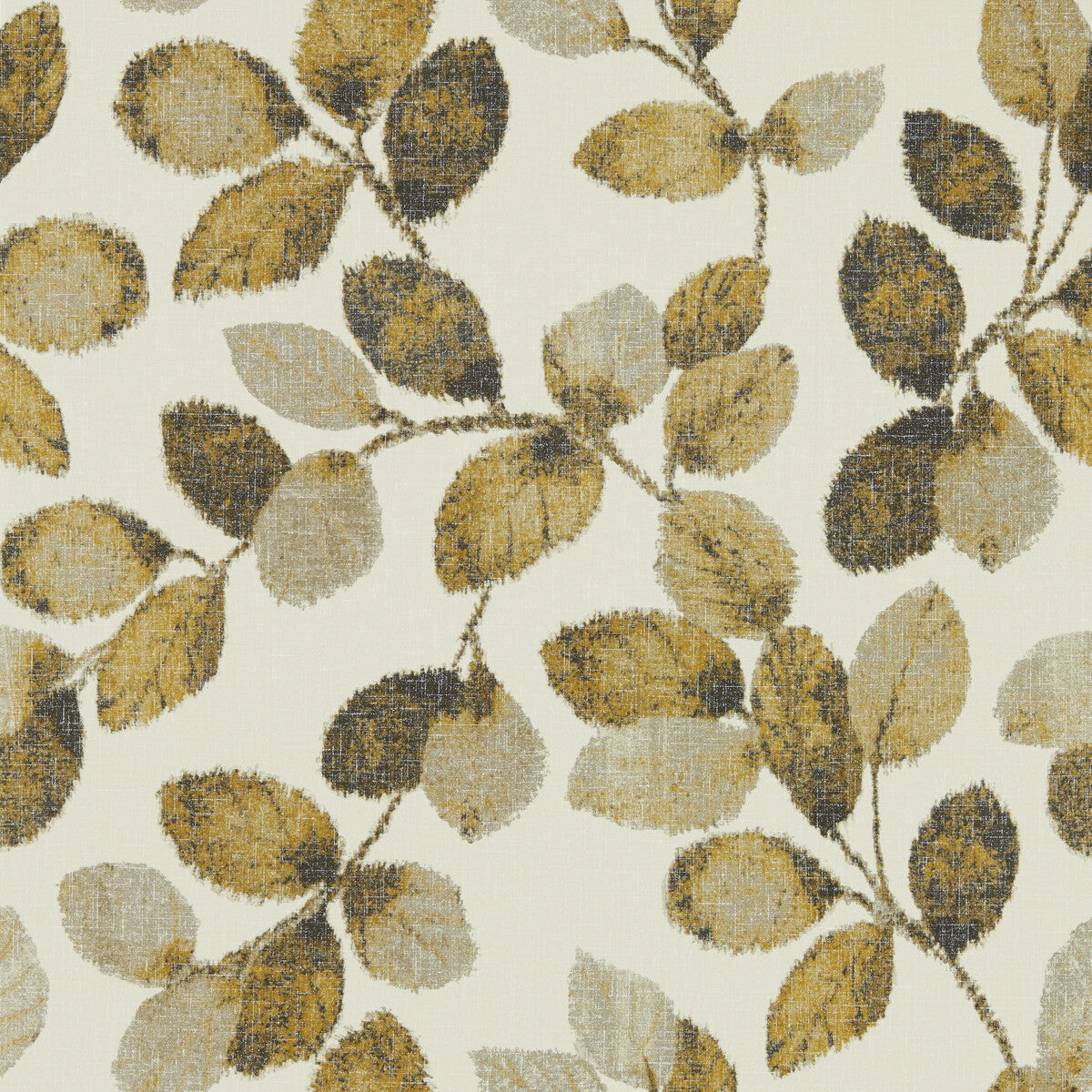 Northia-Pewter Gold Wp