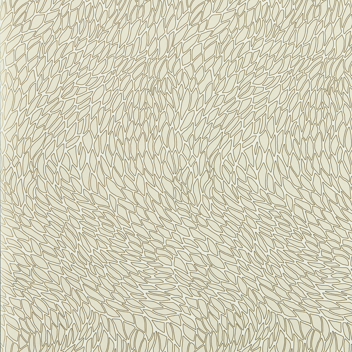 Corallino-Ivory Wp