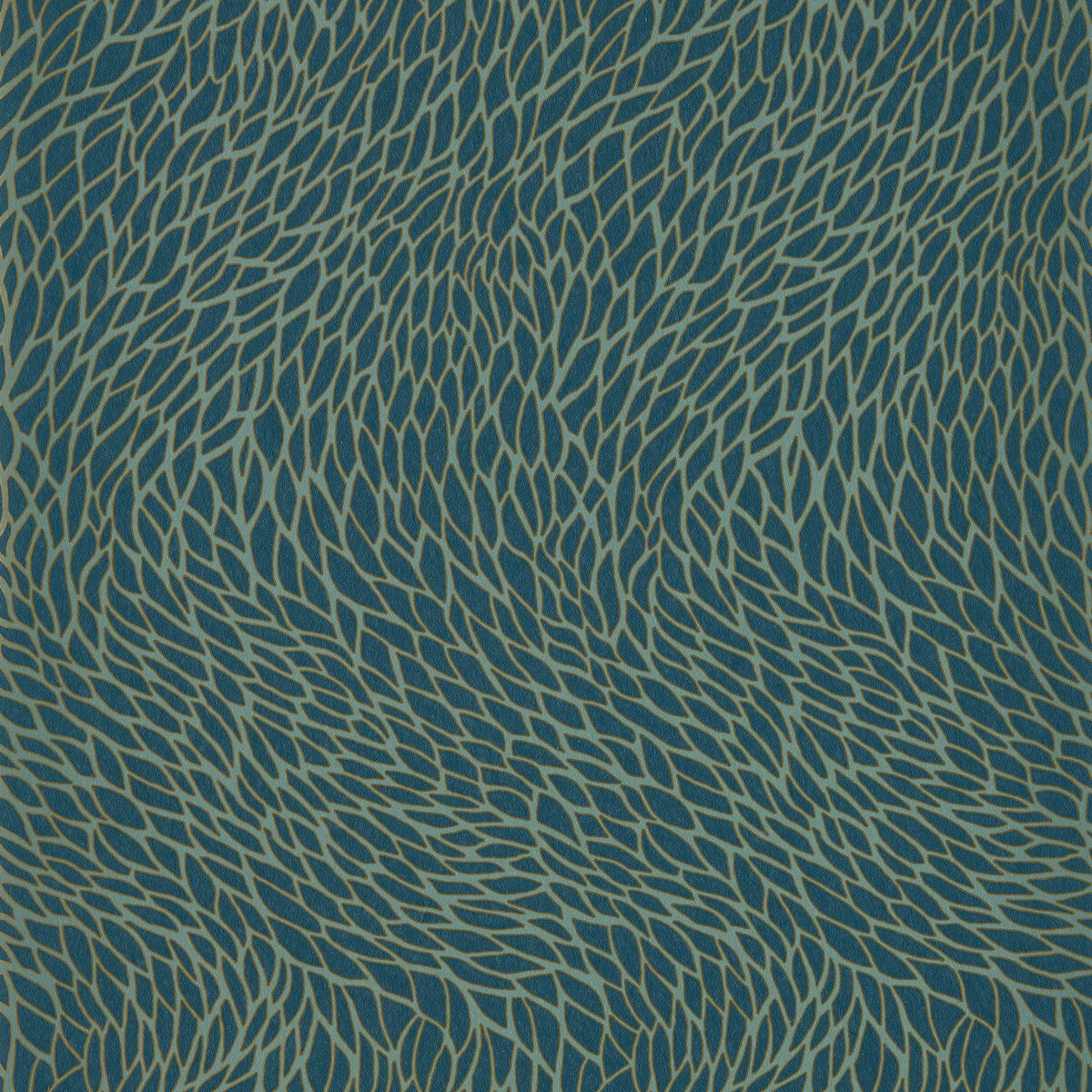 Corallino-Teal Wp