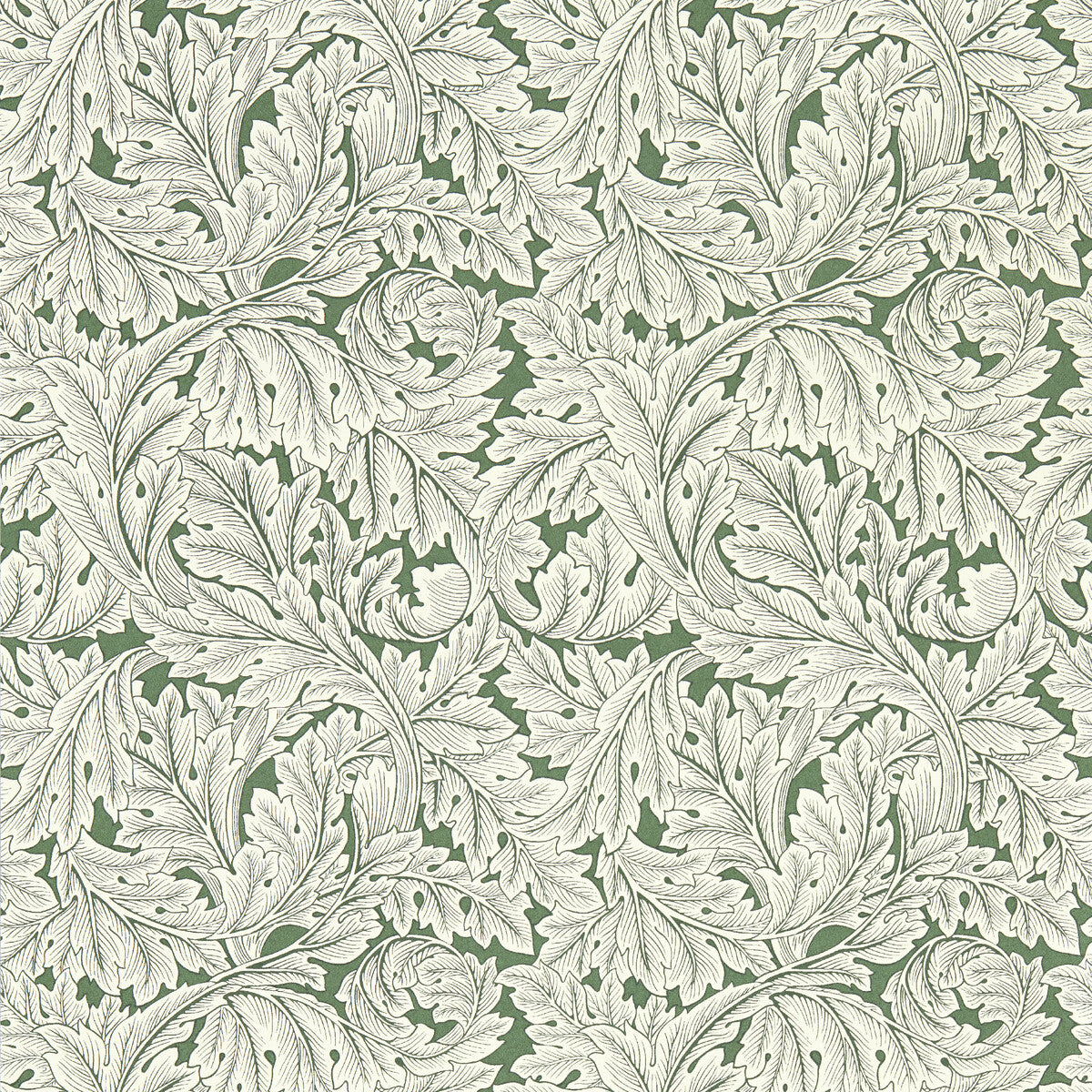 Acanthus Wp-Sage