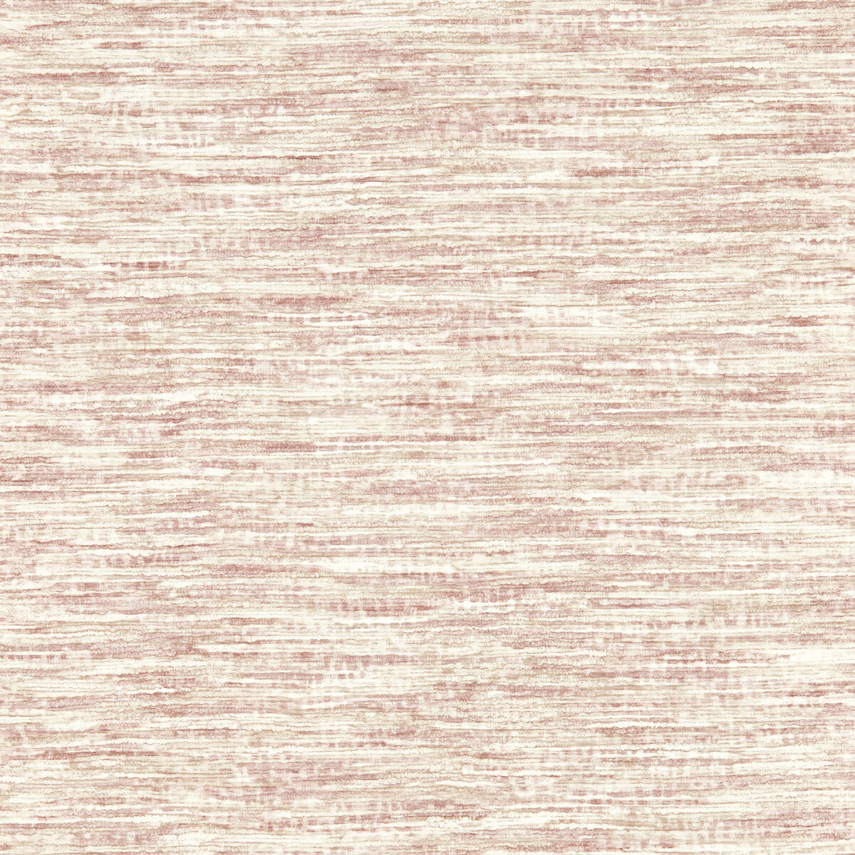 Dritto-Blush Wp