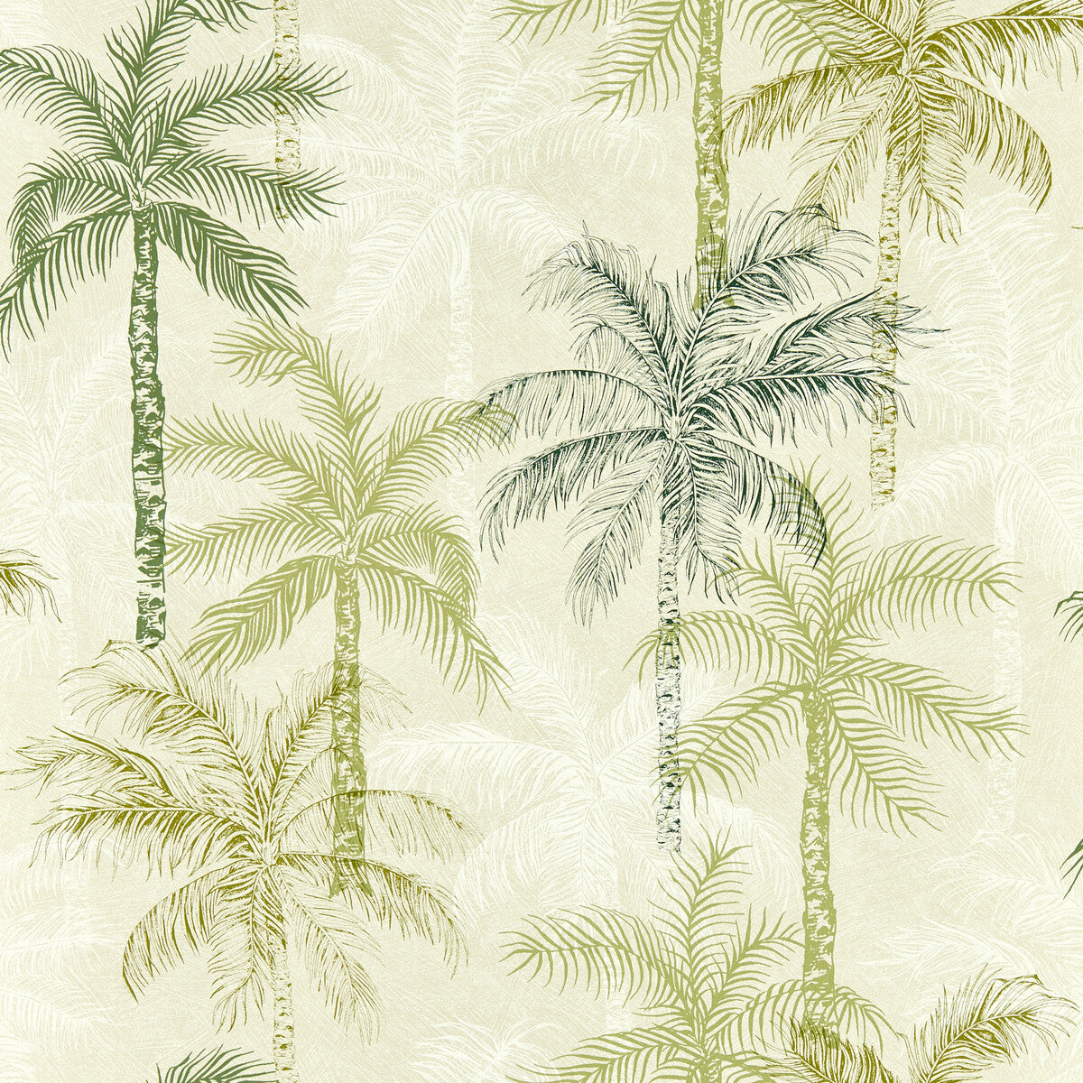 Palmyra-Palm Wp