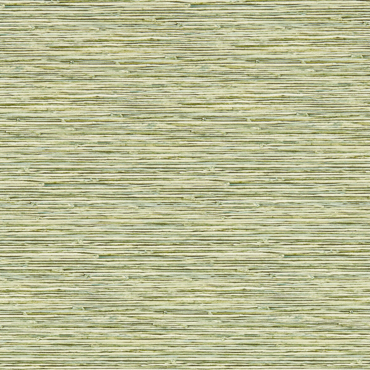 Xan-Palm Wp