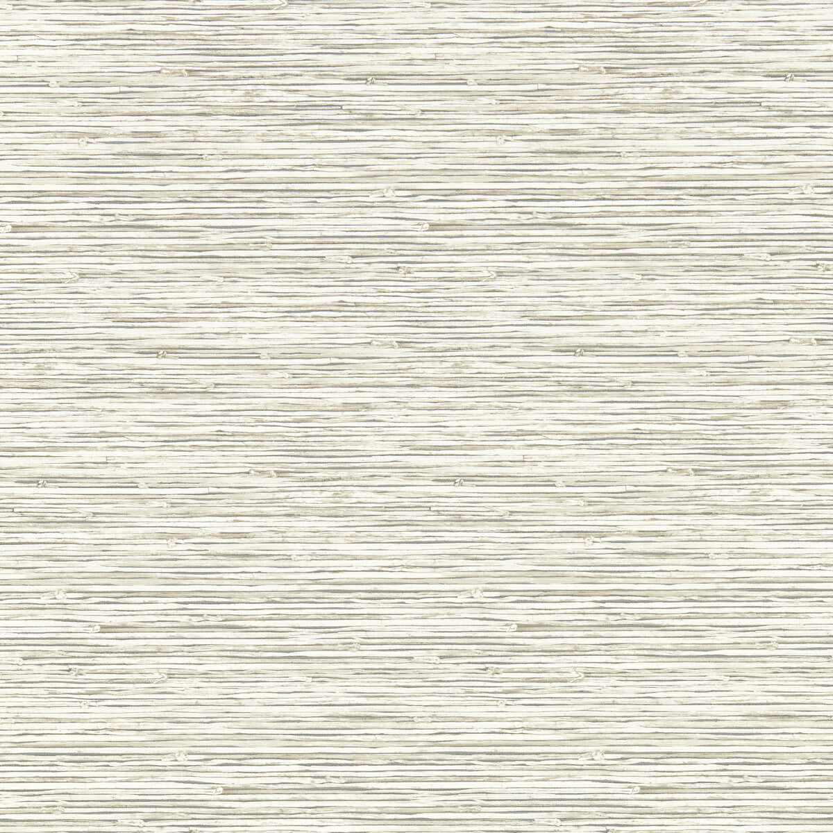 Xan-Parchment Wp