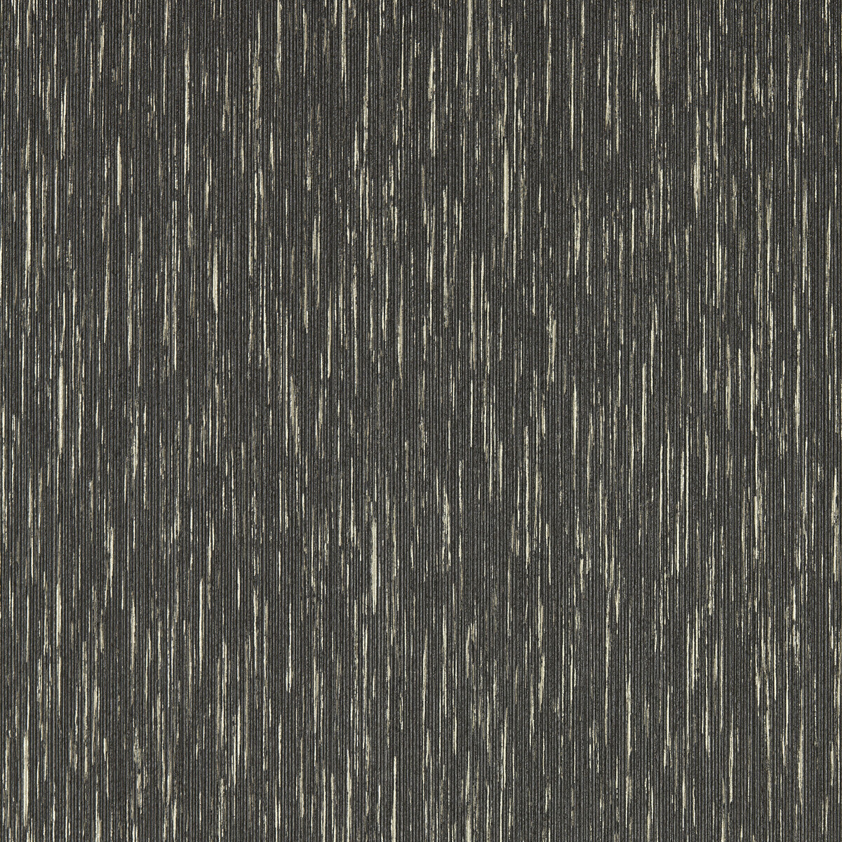 Asper-Charcoal Gilver Wp