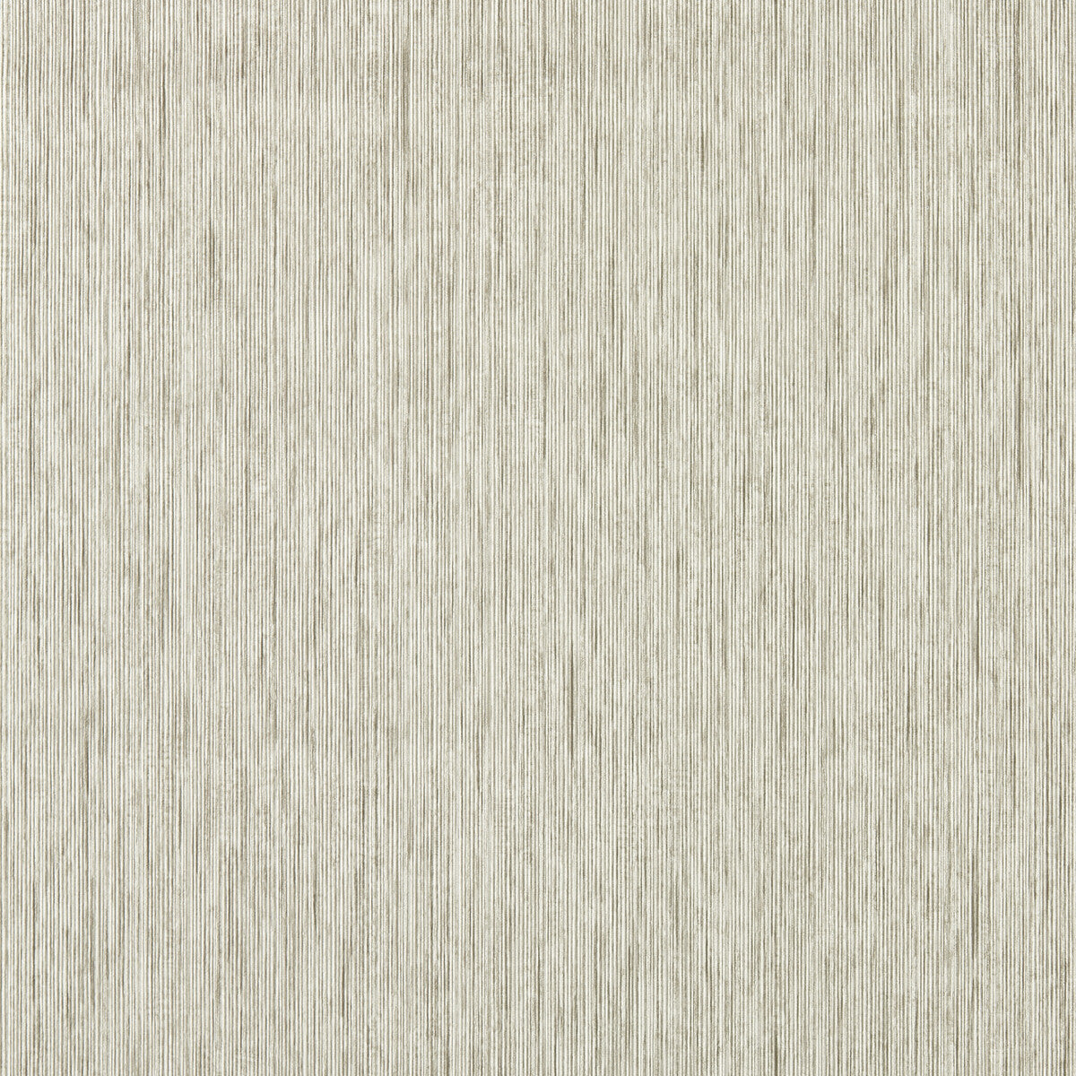 Asper-Putty Wp