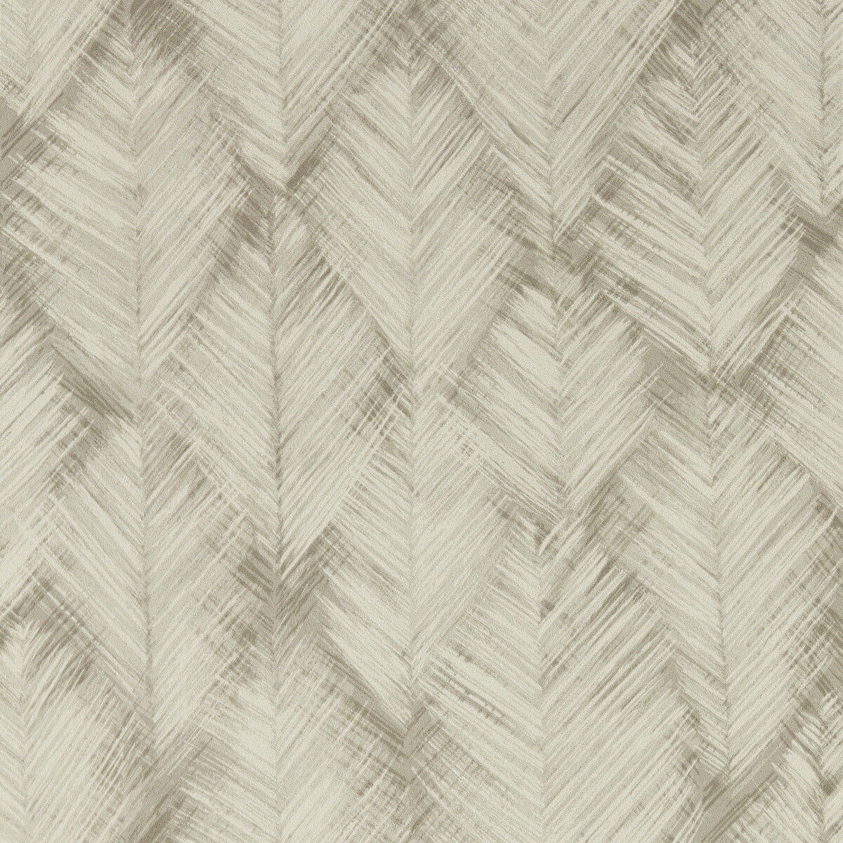 Folius-Putty Wp
