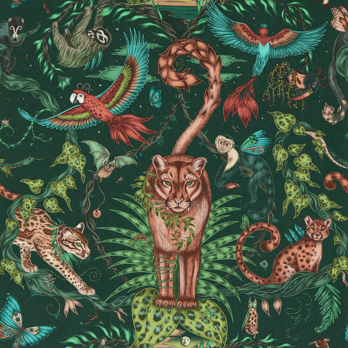 Bosque Dreams-Forest Wp