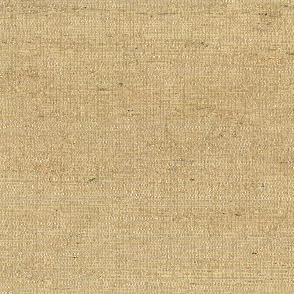 Kravet Design-W3303-14