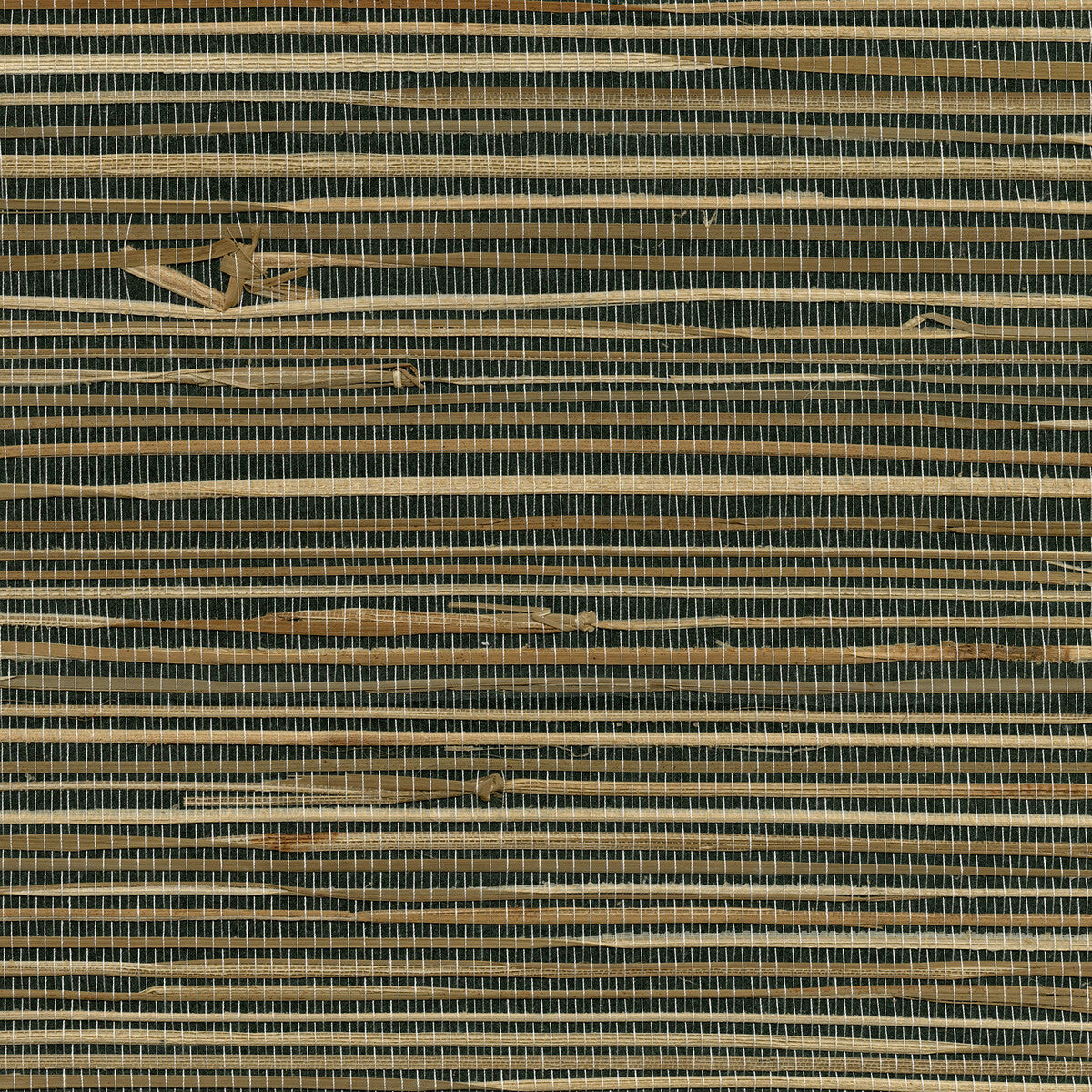 Kravet Design-W3436-621