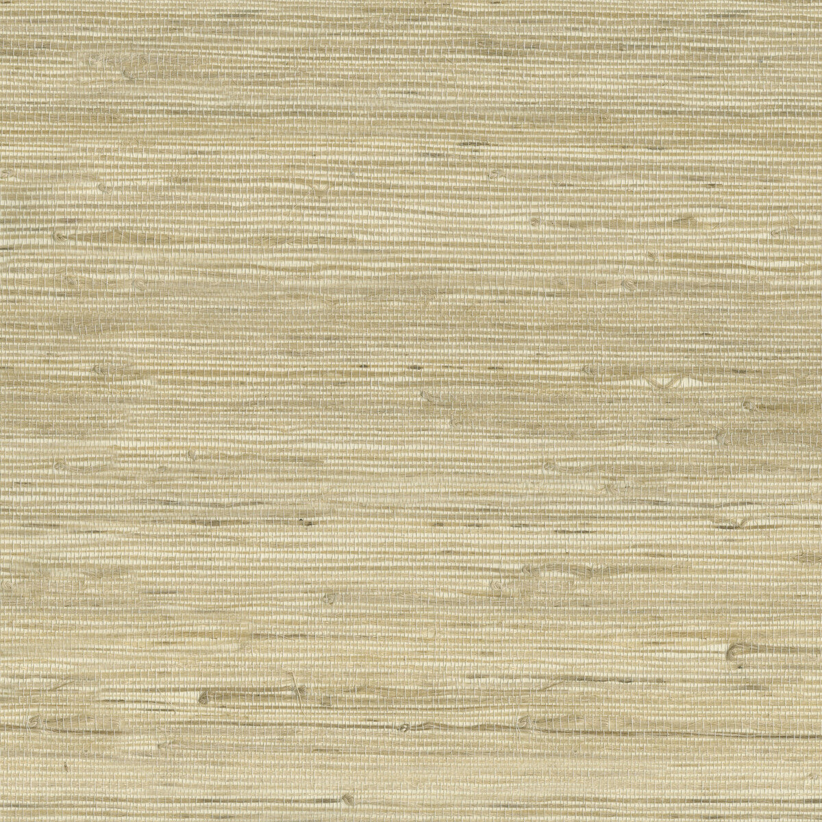 Kravet Design-W3566-16