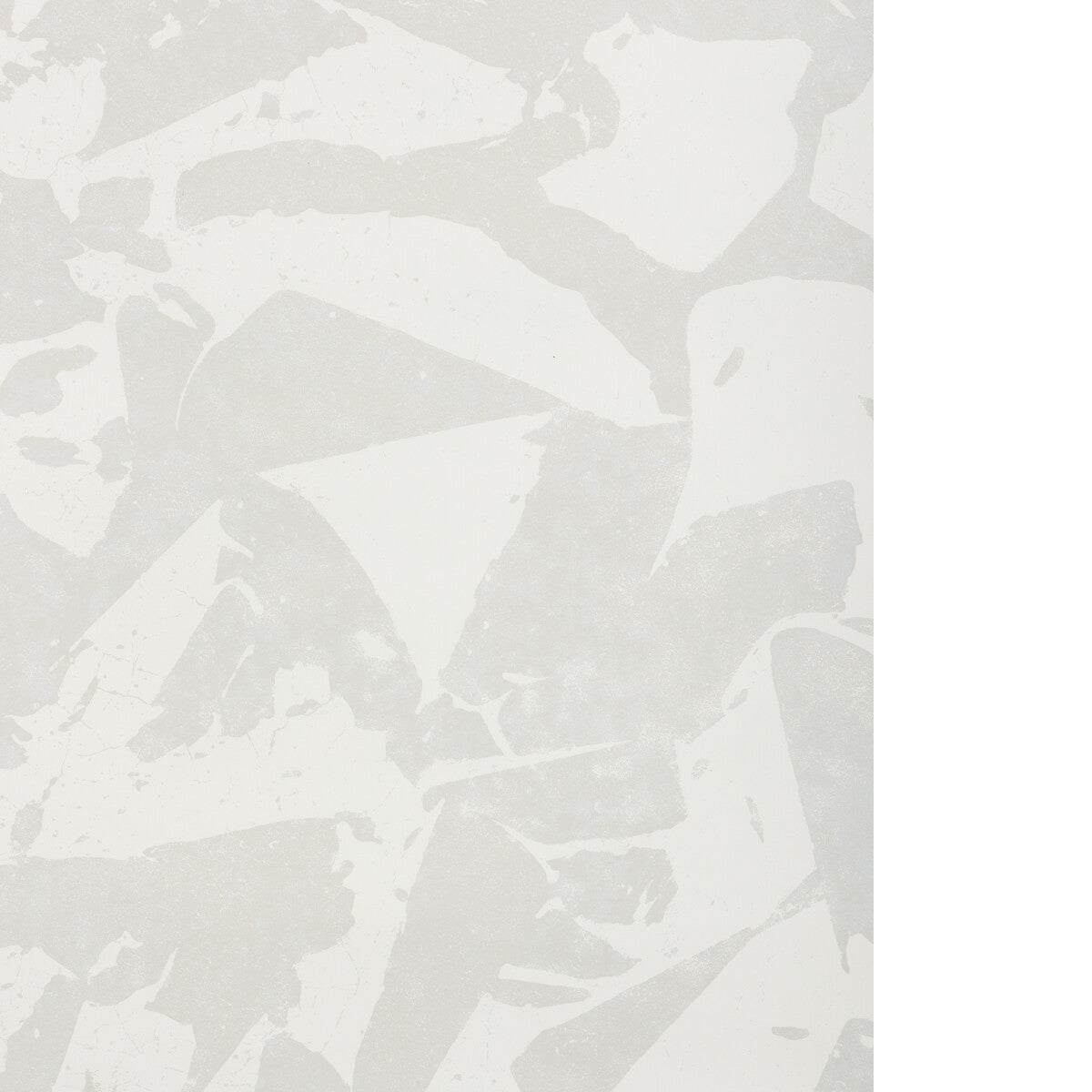 Social Canvas-Plaster